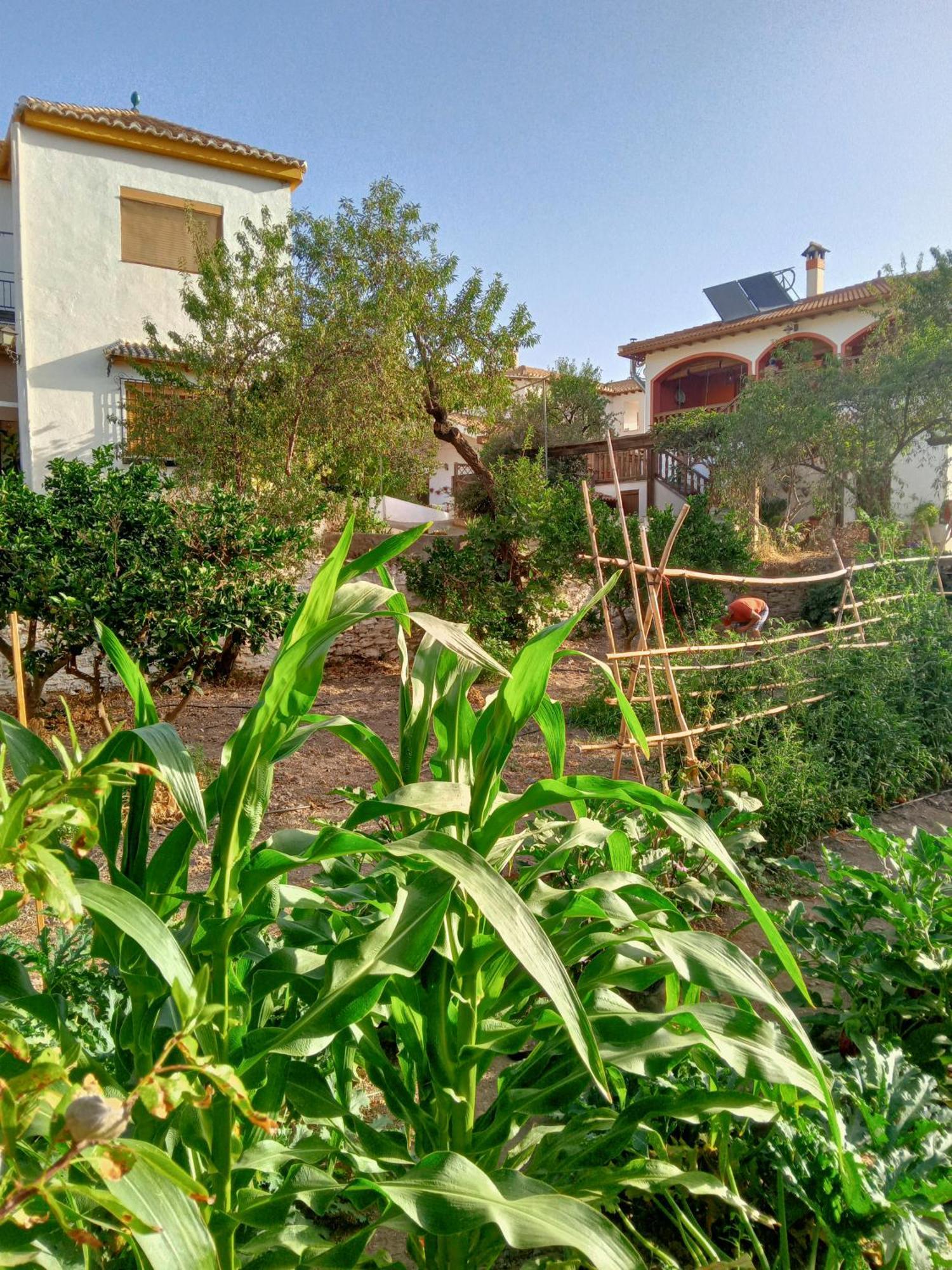 Tuguest Hortichuela House Villa Ugijar Exterior photo